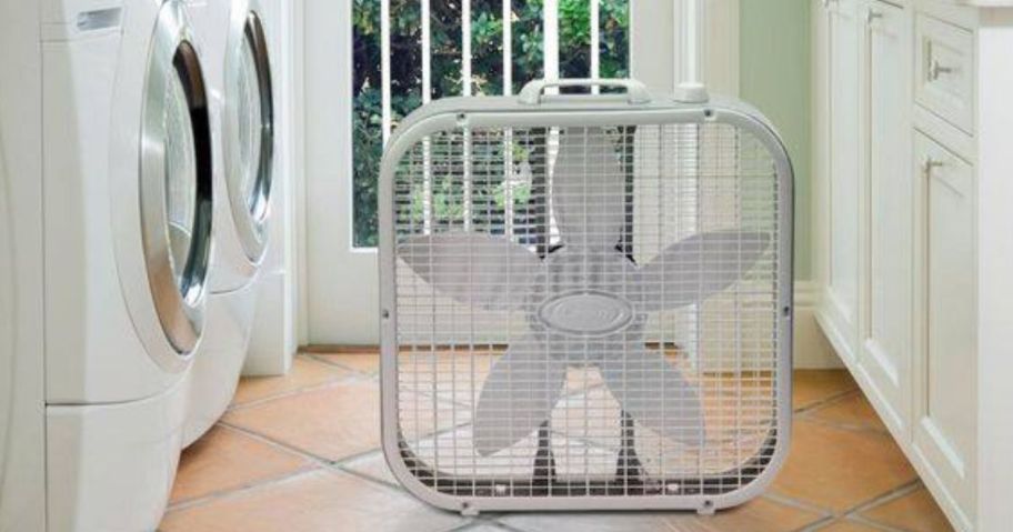 white lasko box fan on floor in laundry room