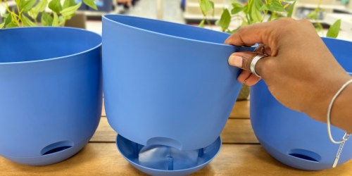 Target Self-Watering Planters from $1.80 | No Green-Thumb Needed!