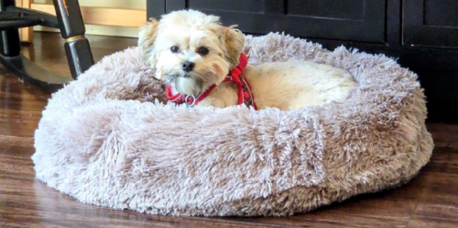 Calming Donut Dog Bed Just $5.99 Shipped for Prime Members
