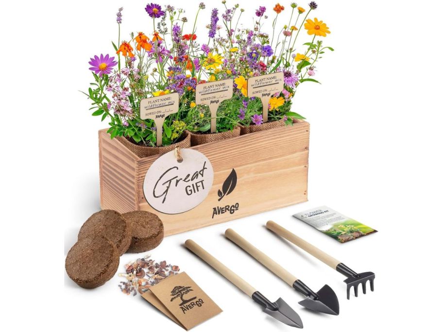 Wildflower Seed Mix Growing Kit with accessories