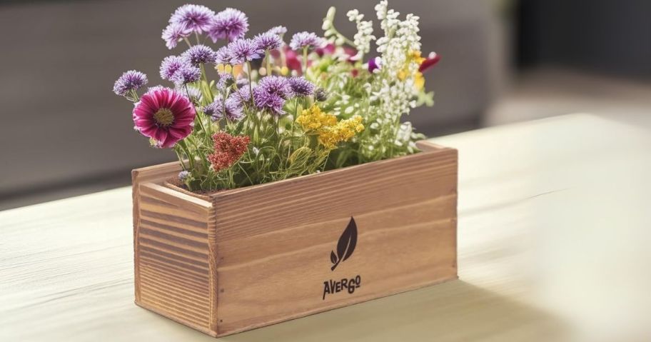Wildflower Seed Mix Growing Kit box with flowers in it on table