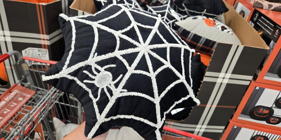 Spider Web Pillow at Costco