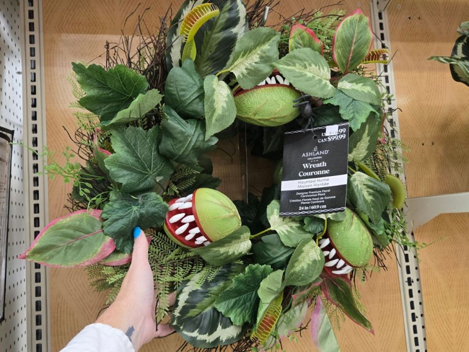 hand holding Carnivorous Wreath in store