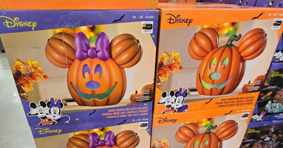 Disney Minnie and Mickey Jack-O-Lantern Pumpkin boxes in store