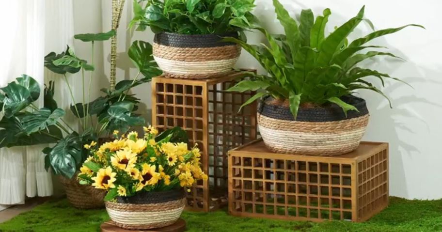three seagrass planters with plants in them stacked on risers
