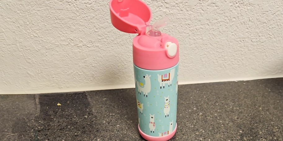 pink and teal llama water bottle 