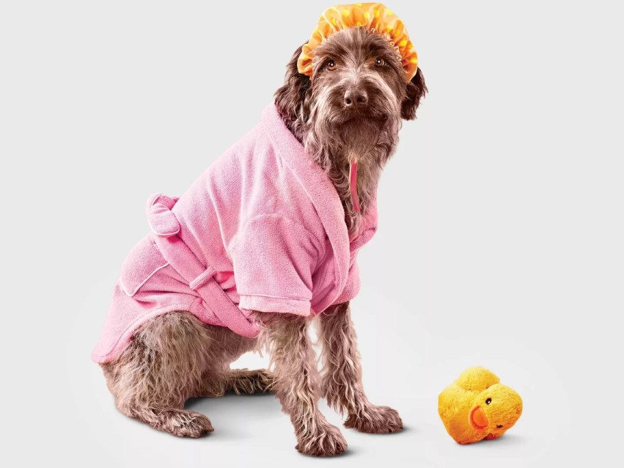 a dog in a pink bathrobe with a shower cap on and a yellow duck toy