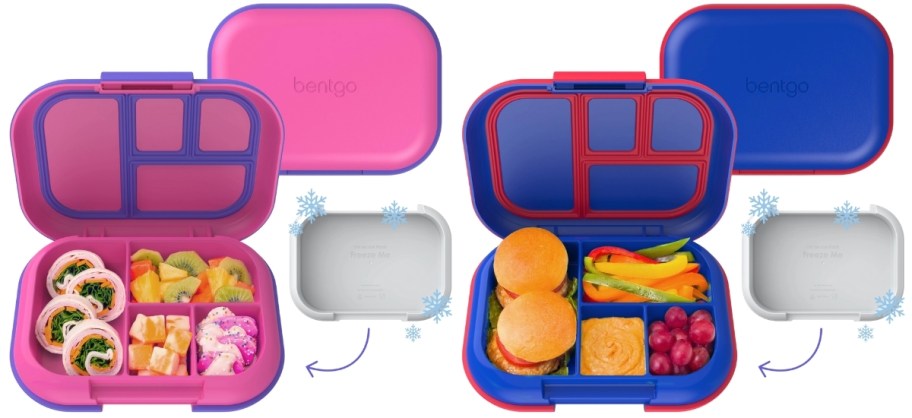 2 bento lunch boxes