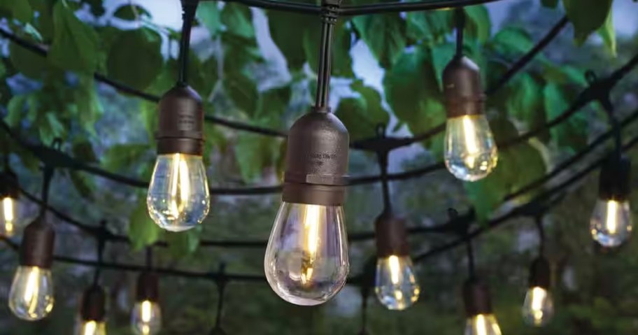 set of string lights in tree with edison bulbs