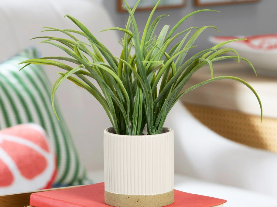 small artificial grass plant in a white pot