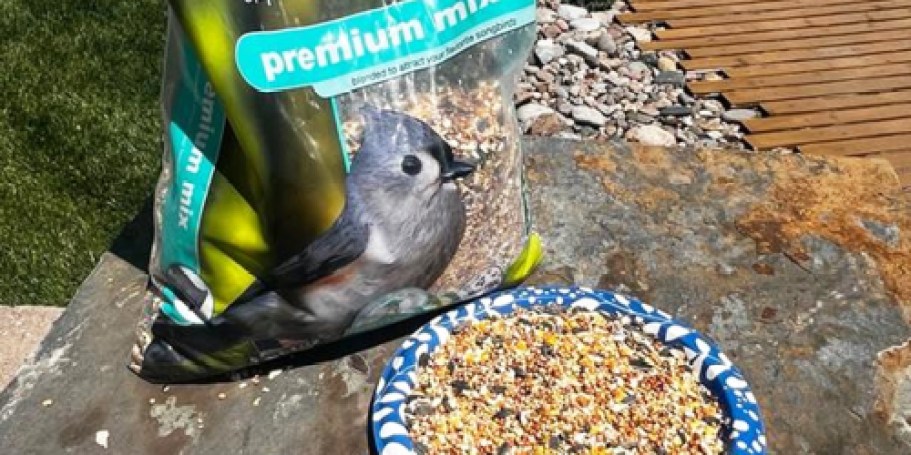 BOGO Free Birdseed on Lowes.com