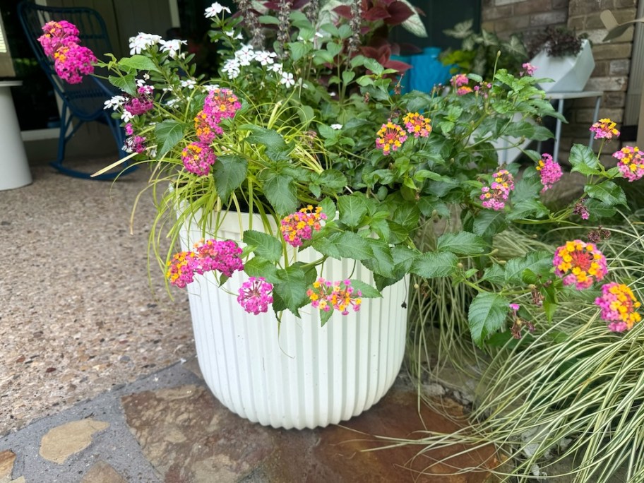Walmart white planter with flowers 