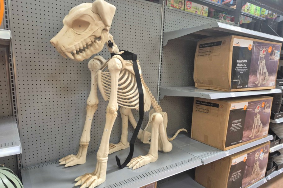 Halloween Skeleton Dog decor on store shelf