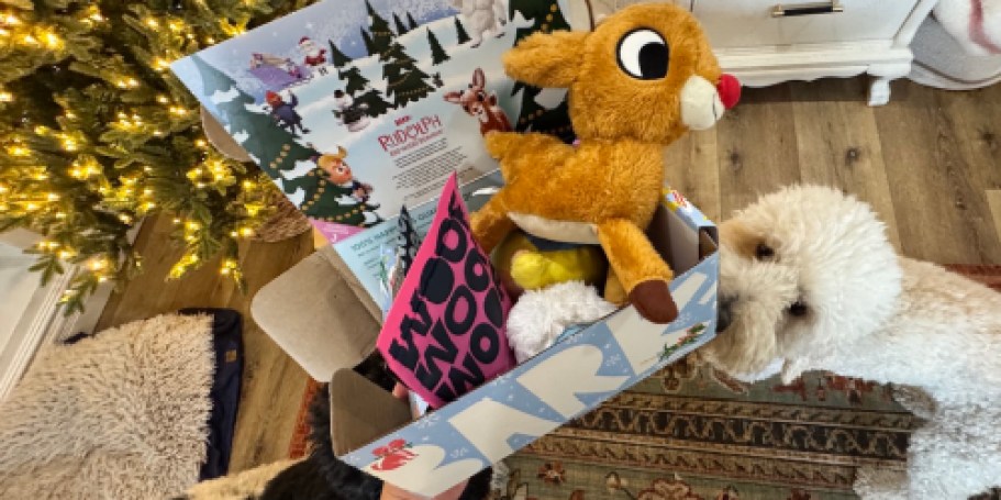 15 BEST Gift Ideas for Pets & Pet Parents (+ $5 BarkBox!)