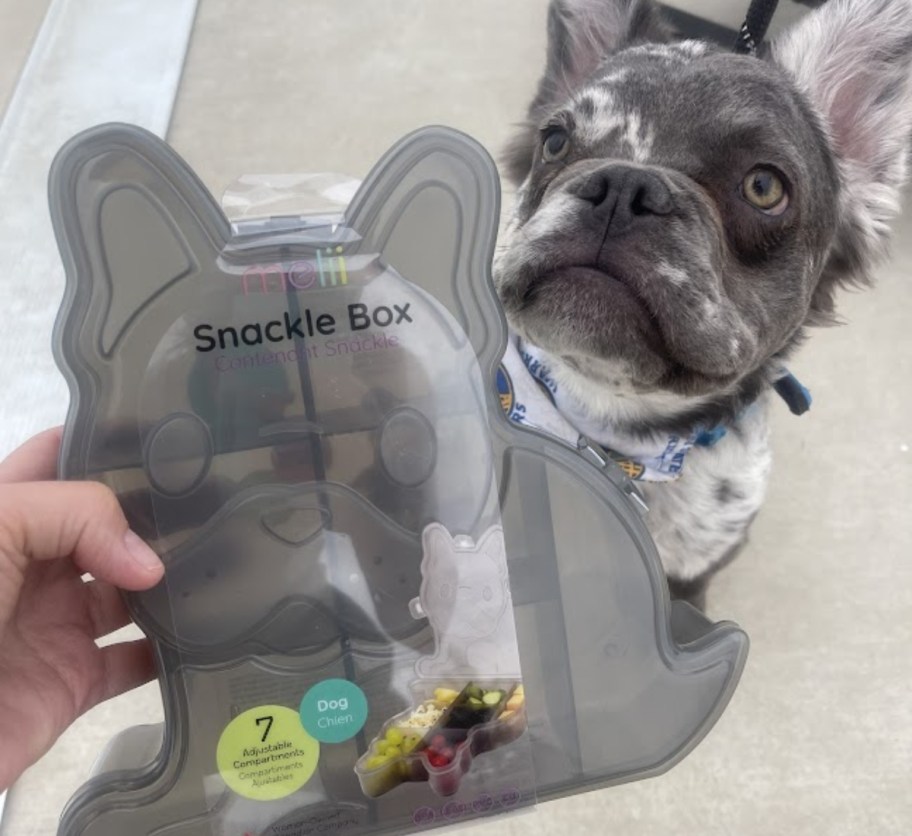 a womans hand holding a gray dog shaped snackle box next to a dogs head. 