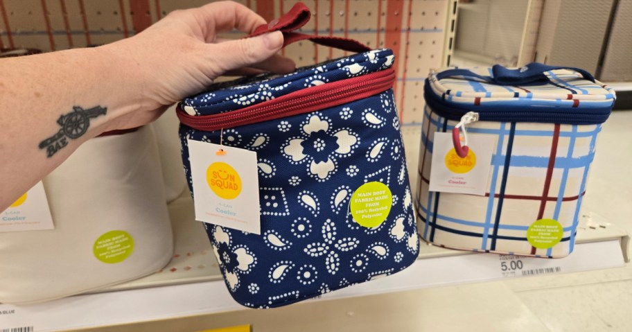 A hand holds a small cooler bag with a blue floral pattern and red trim. Nearby is a plaid cooler with blue and red lines. Price tags are visible.