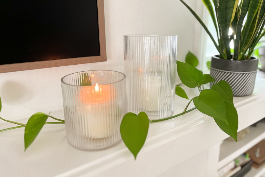 two clear ribbed candle holders next to plant