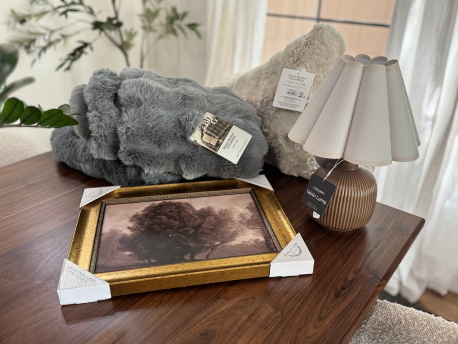 frame, lamp, and blanket on table