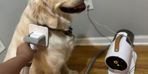 Dog Grooming Vacuum Just $48.99 Shipped on Amazon (Reg. $100)
