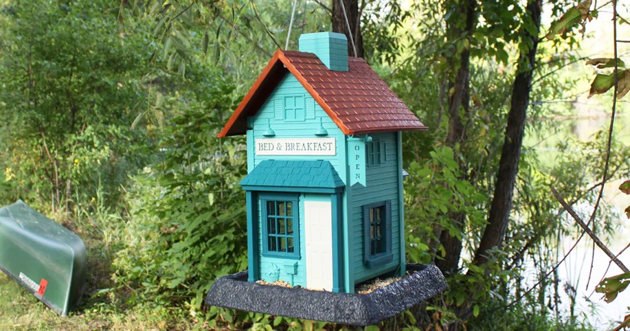 teal bed & breakfast style bird feeder hanging from tree