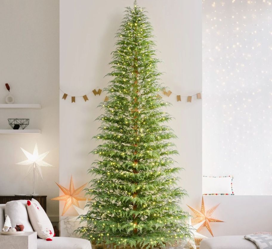 A large Christmas Tree in a living room 