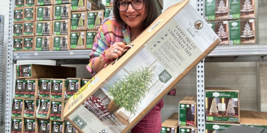 The Viral Texas House Tree Is Back in Stock (But ALREADY Selling Out!)