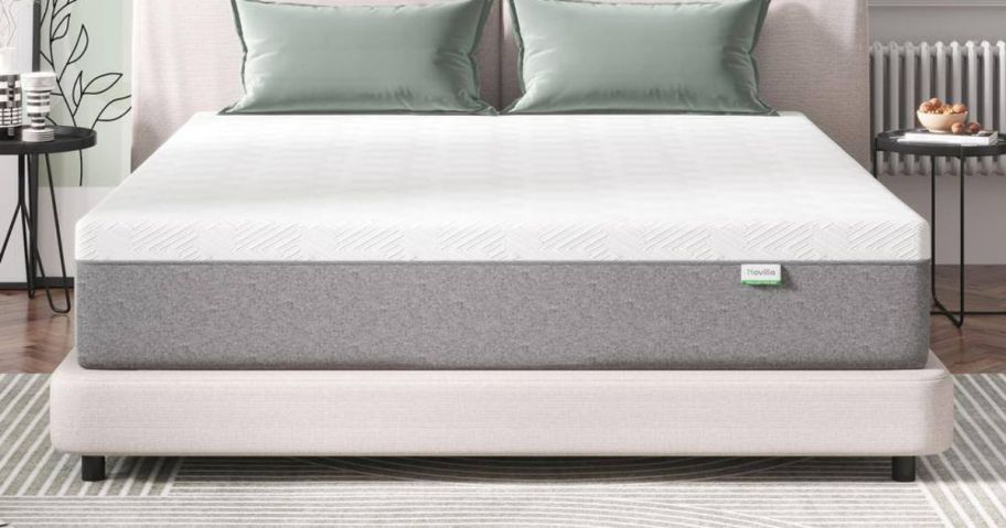 A bed frame with a bed revealing an exposed mattress in a bedroom