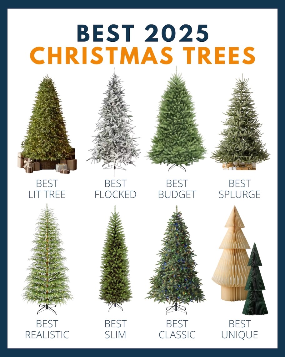 best 2025 christmas trees
