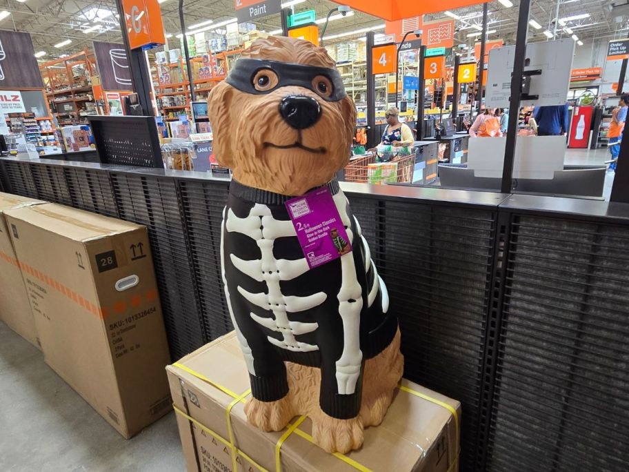 GoldenDoodle Skeleton Blow Mold in store