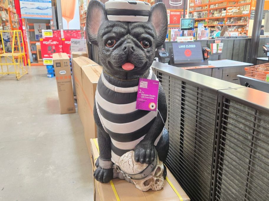 French Bulldog Prisoner Blow Mold in store