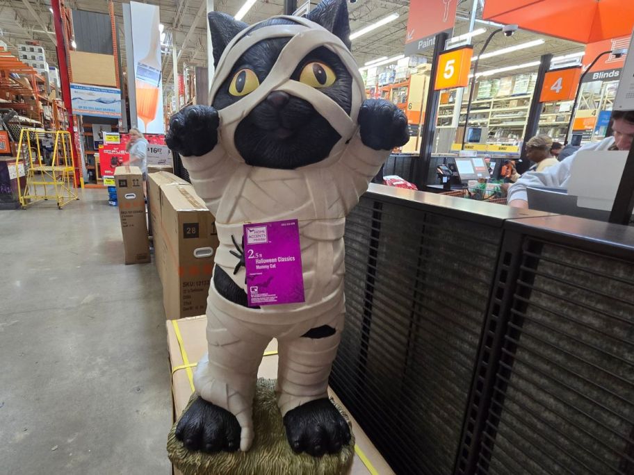 Mummy Cat Blow Mold in store