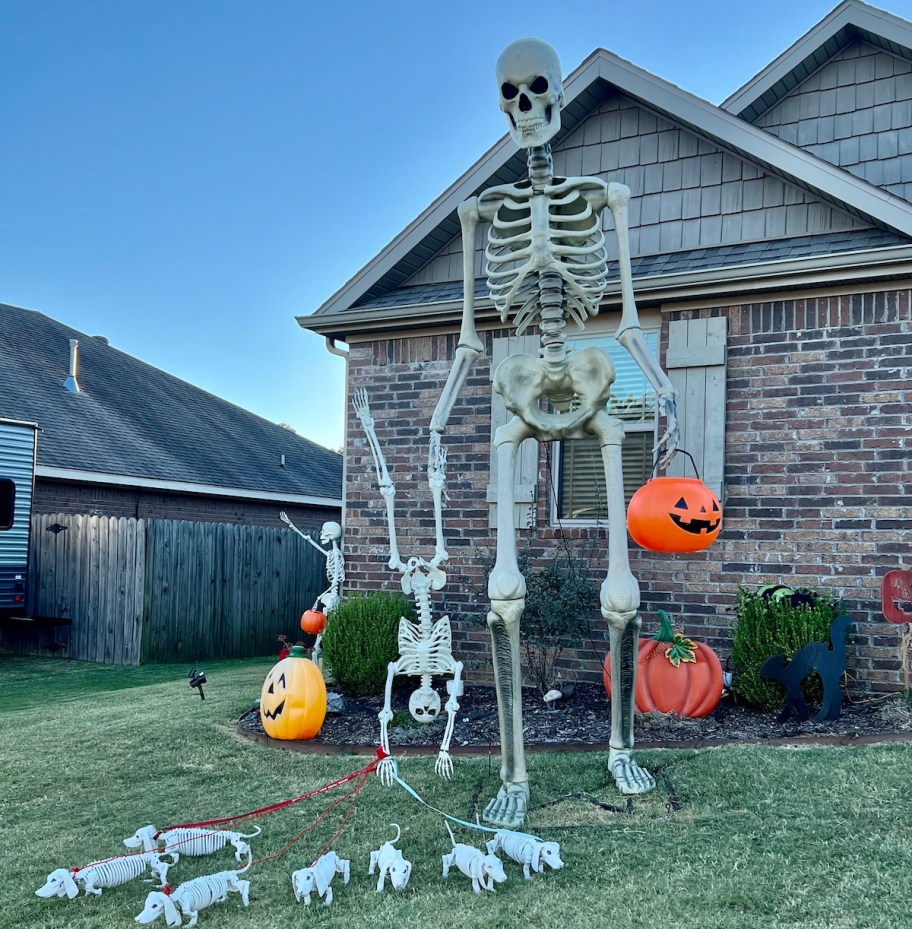 giant skeleton holding small skeleton with skeleton dogs on leashes