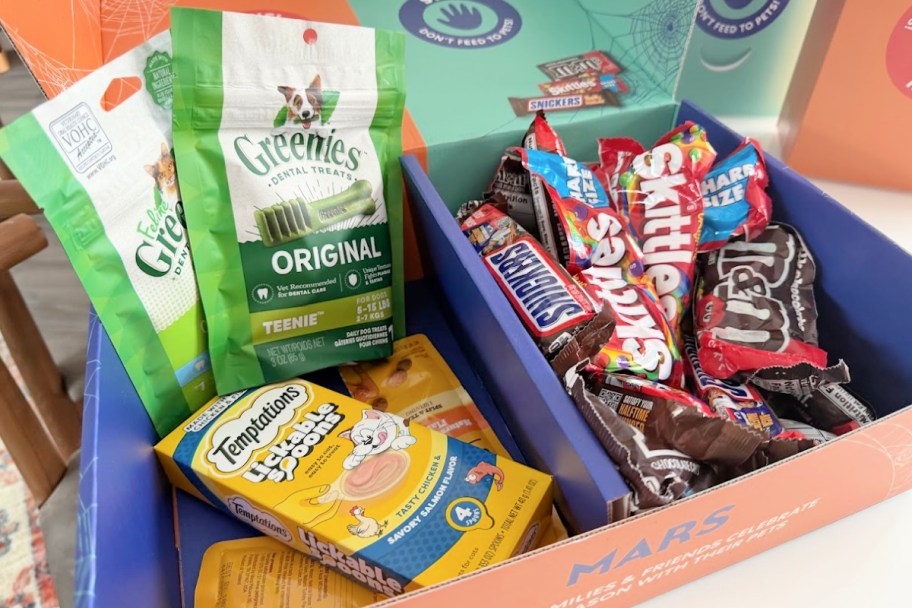 box full of candy and pet treats