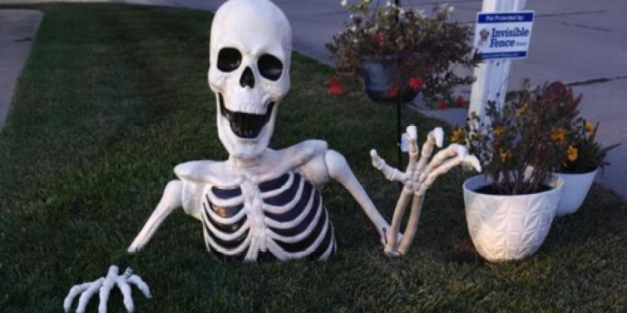 Large Groundbreaker Skeleton Only $79.99 on Walgreens.com – Today Only!