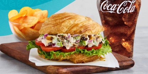 FREE Corner Bakery Cafe Combo Meal for Admin Professionals – Today ONLY