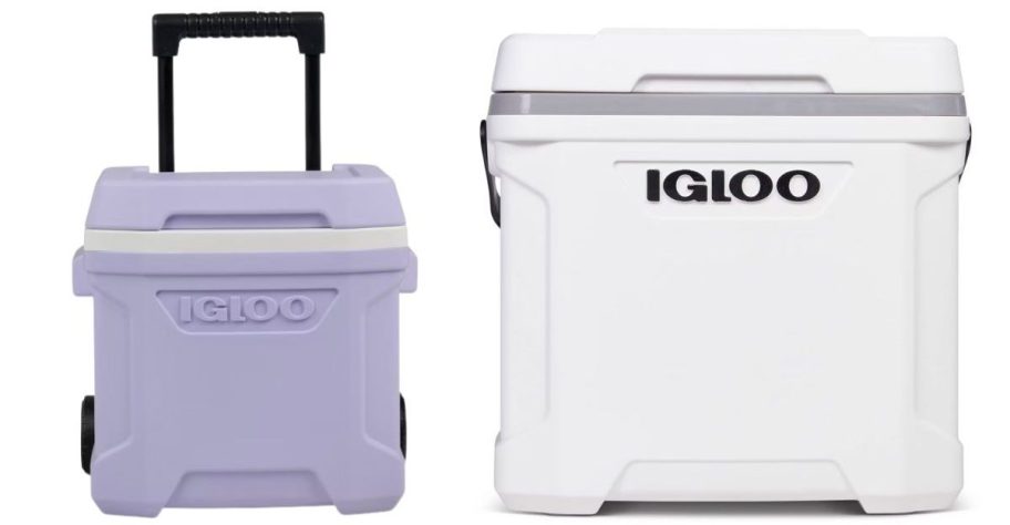 Purple and white igloo choolers