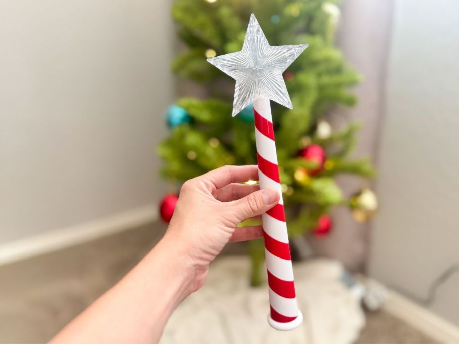 A person holding a wand with a star on top