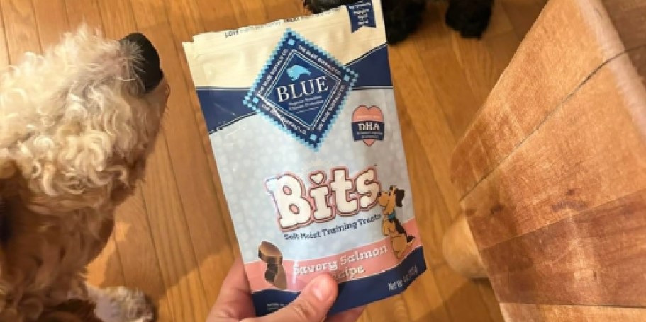 Blue Buffalo Dog Treats Only $2.69 Shipped on Amazon