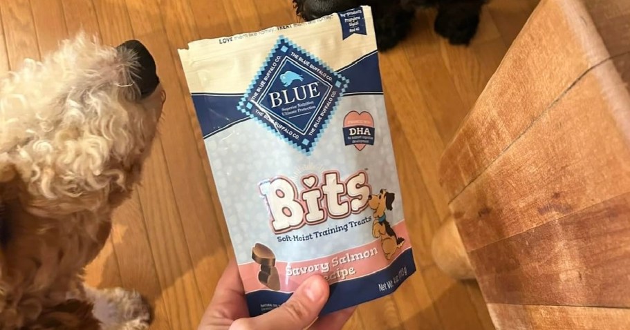 Blue Buffalo Dog Treats Only $2.69 Shipped on Amazon
