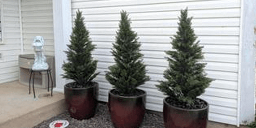 TWO Artificial Cedar Trees Just $39.99 Shipped on Walmart.com (Only $20 Each!)