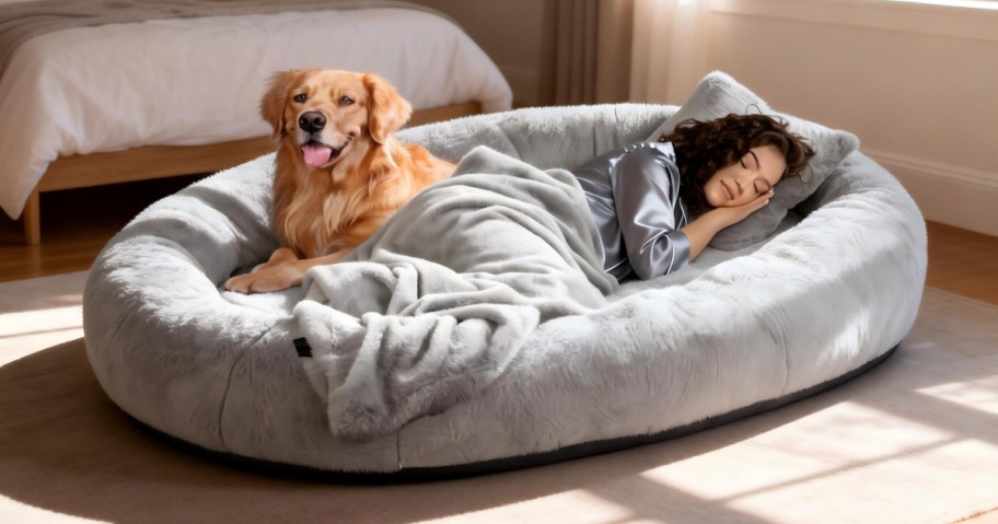 A woman sleeps on a large, plush gray pet bed, covered in a soft blanket, a golden retriever sits next to her.