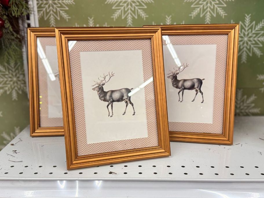 Framed Reindeer Tabletop D&eacute;cor on shelf in store