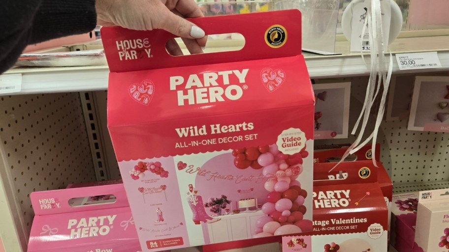 balloon decor kit wild hearts