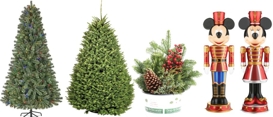chrsitmas trees, winter plant, and disney nutcrackers