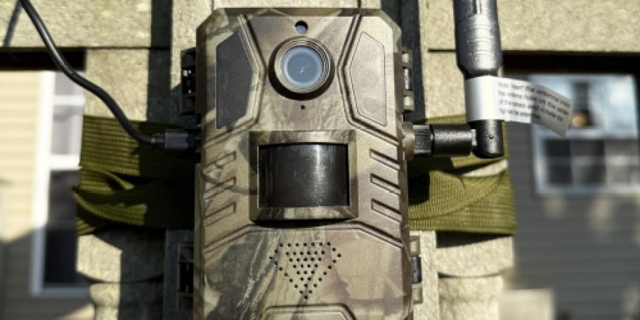 Solar-Powered Trail Camera Just $29.99 Shipped on Amazon (Gives Real-Time Motion Alerts)