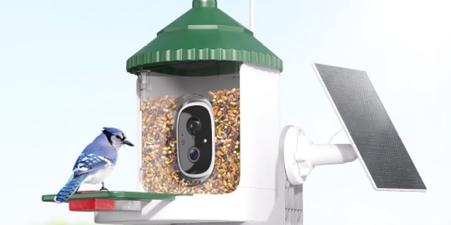 Solar-Powered Smart Bird Feeder w/ Camera Just $29.99 Shipped on Amazon | Mother’s Day Gift Idea!