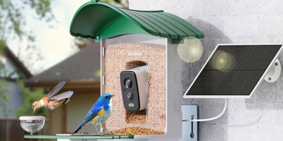 Smart Bird Feeder w/ Camera Only $29.99 Shipped for Amazon Prime Members