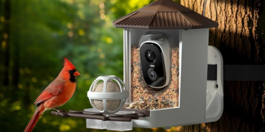Smart Bird Feeder Just $29.99 Shipped for Amazon Prime Members (Reg. $90)