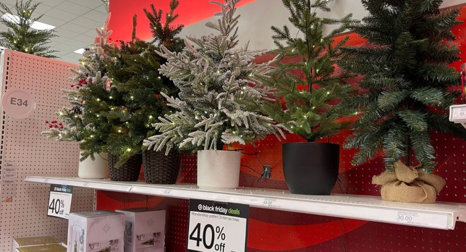display of Wondershop potted Christmas trees 
