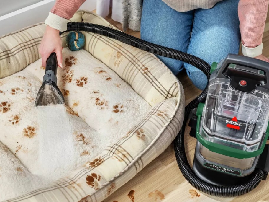 bissell little green pet pro